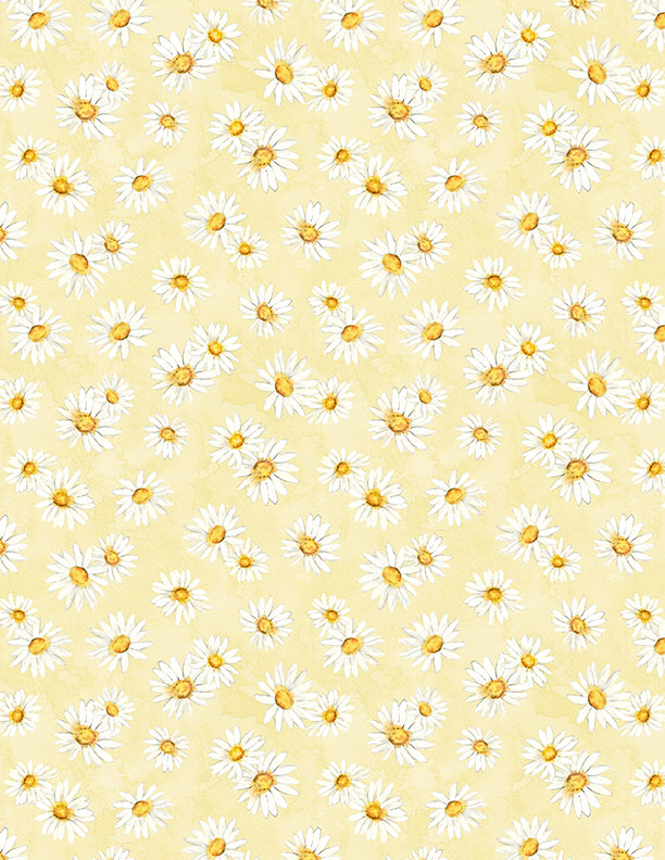 Zest for Life - Daisy Toss Yellow Yardage