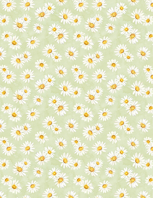 Zest for Life - Daisy Toss Green Yardage