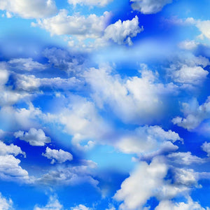 Clouds in a Bright Sky Backing Yardage