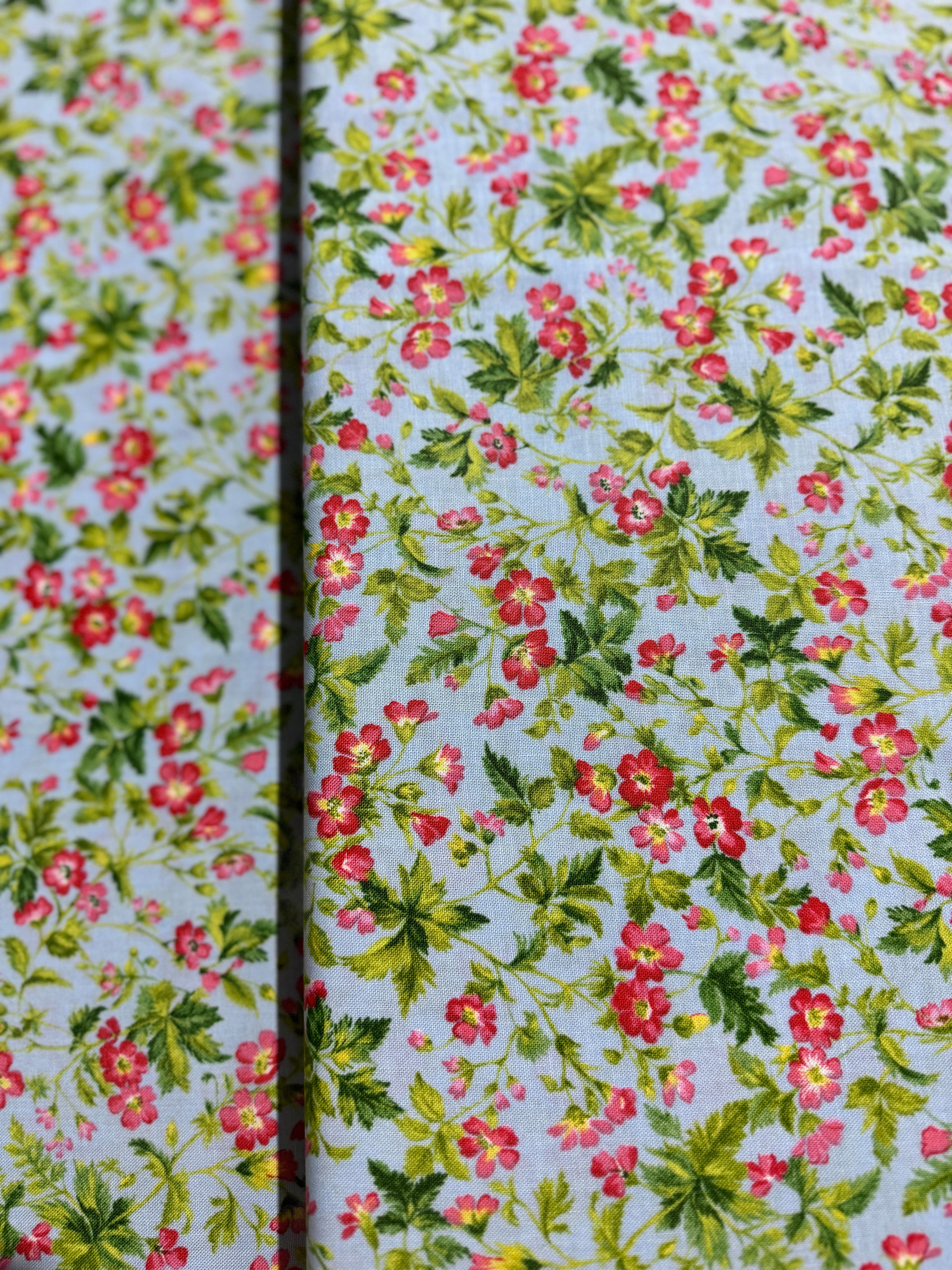 Wildflowers IX Bluebell - Dogwood Blossom Light Blue Yardage