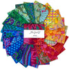 Kaffe Fassett Classics Plus Rainbow 5" Squares