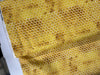 Honey Bee Farm - Honey Comb Yardage