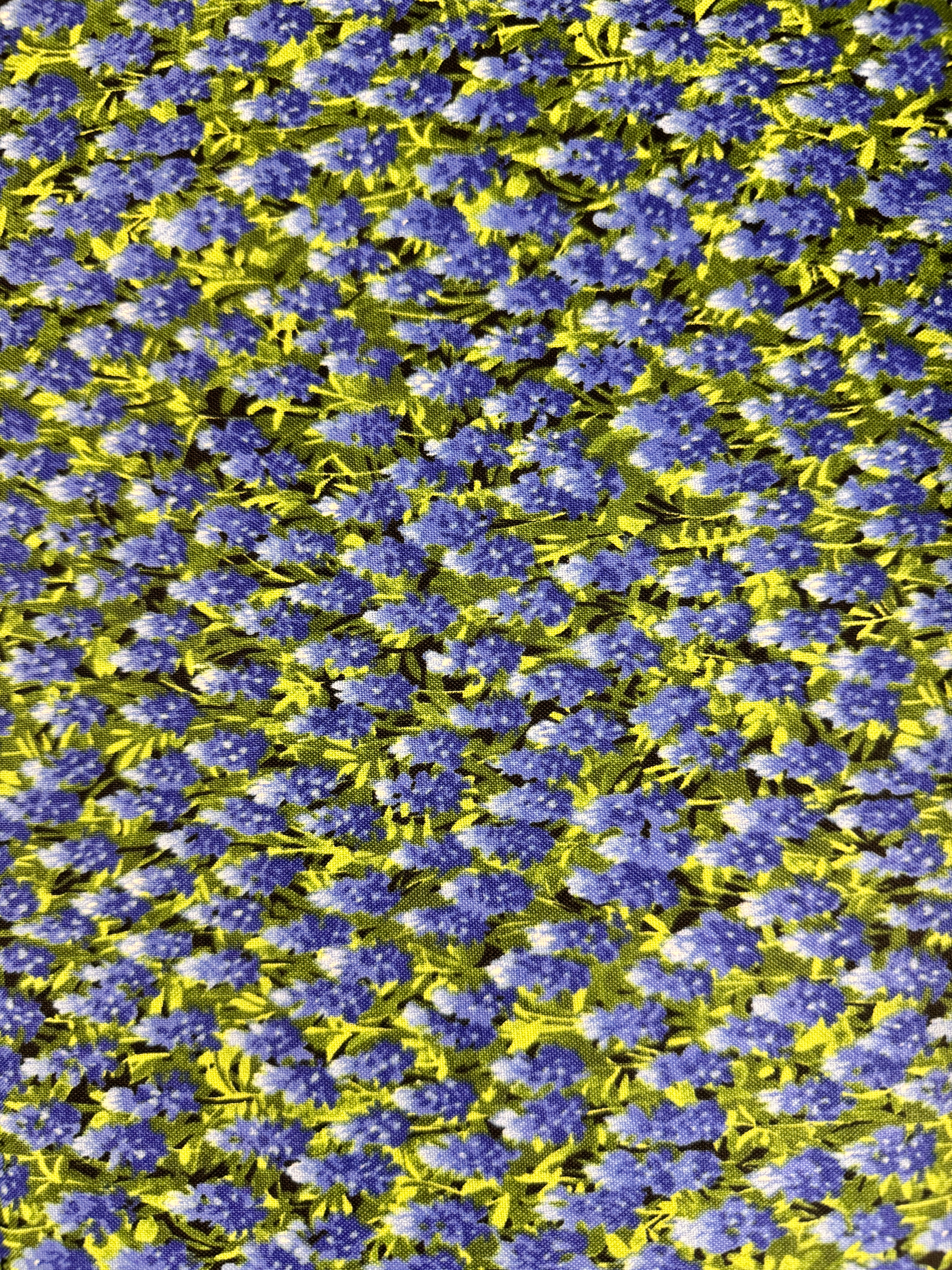 Wildflowers Favorites - Best Of Texas - Summer Bluebonnets Yardage