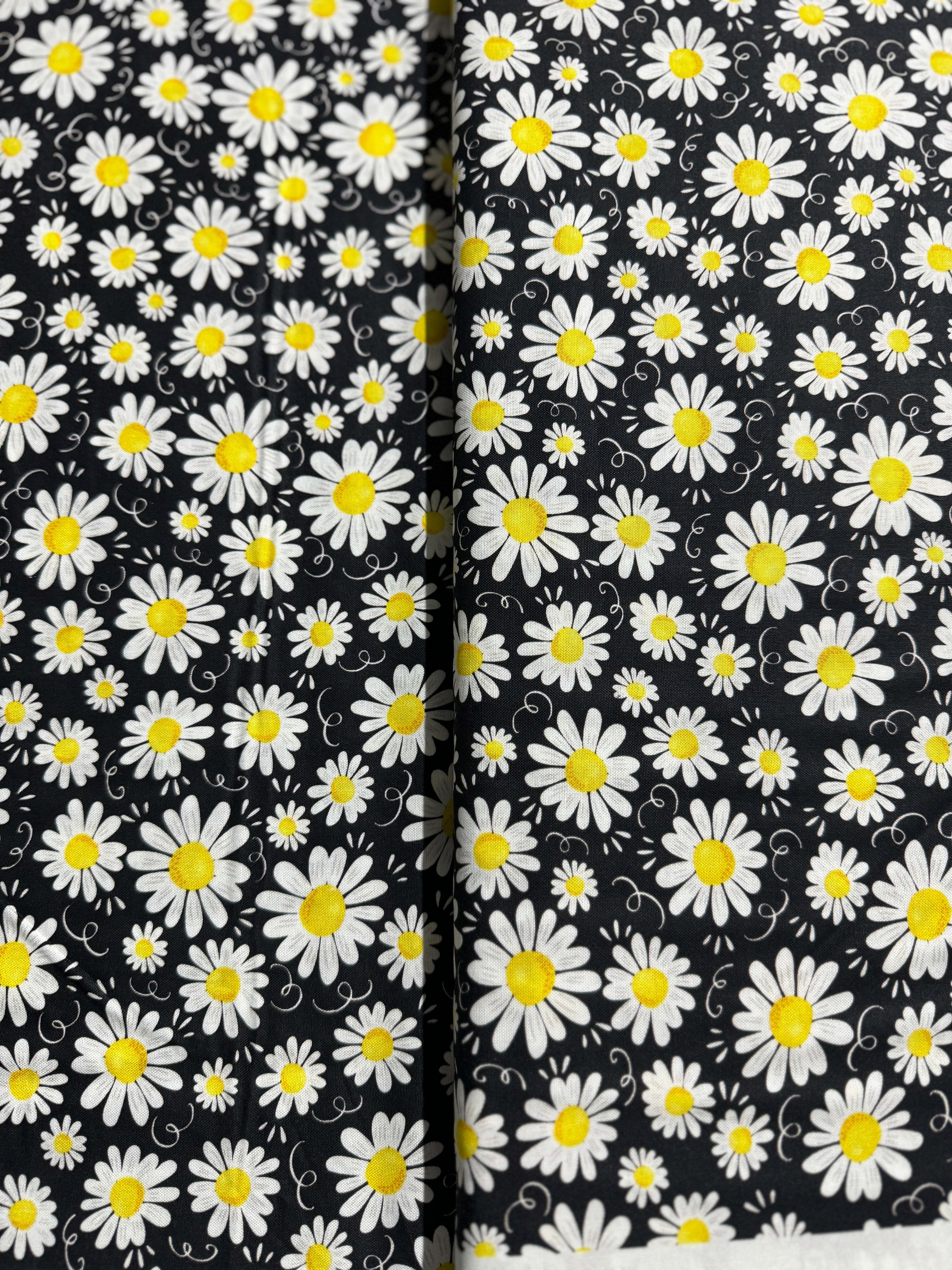 Home is Where My Honey is - Blooming Daisies Yardage