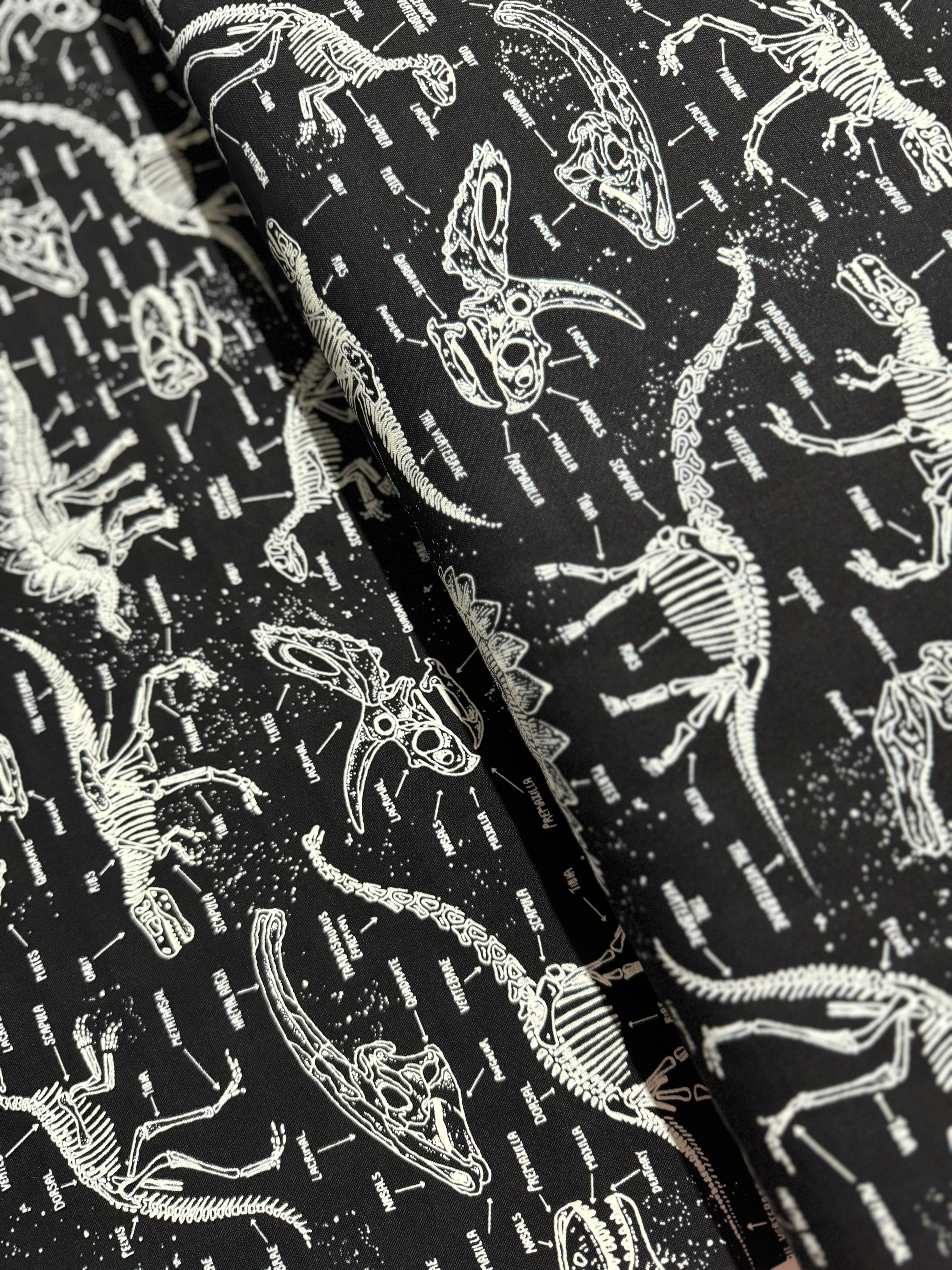 Glow in the Dark - Dino Trek - Dinosaur Skeletons Yardage