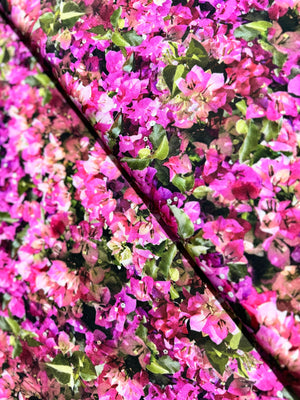 Mediterranean Escape - Bougainvillea Yardage