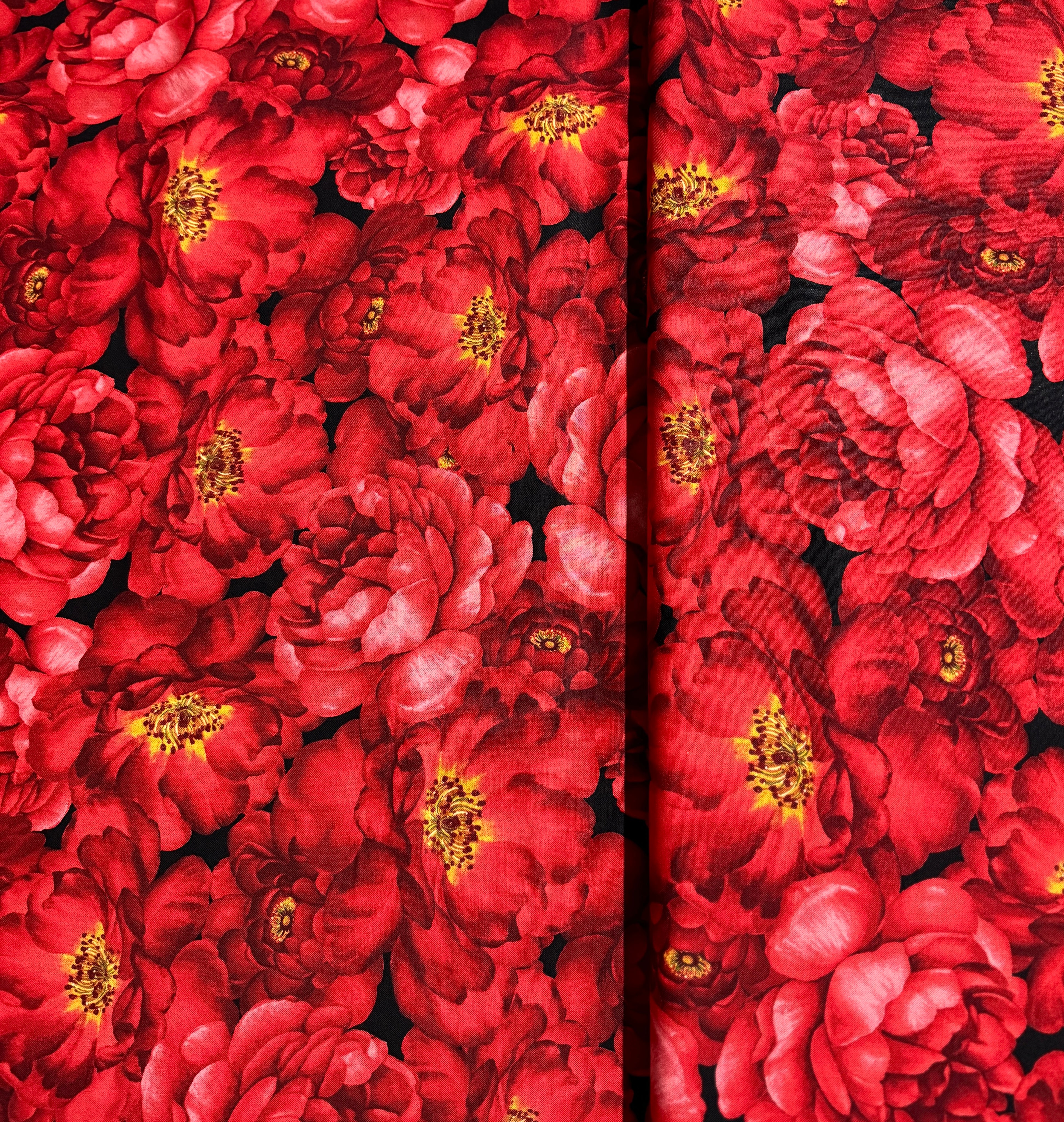 Garden Rose - Packed Large Red Roses on Black Yardage