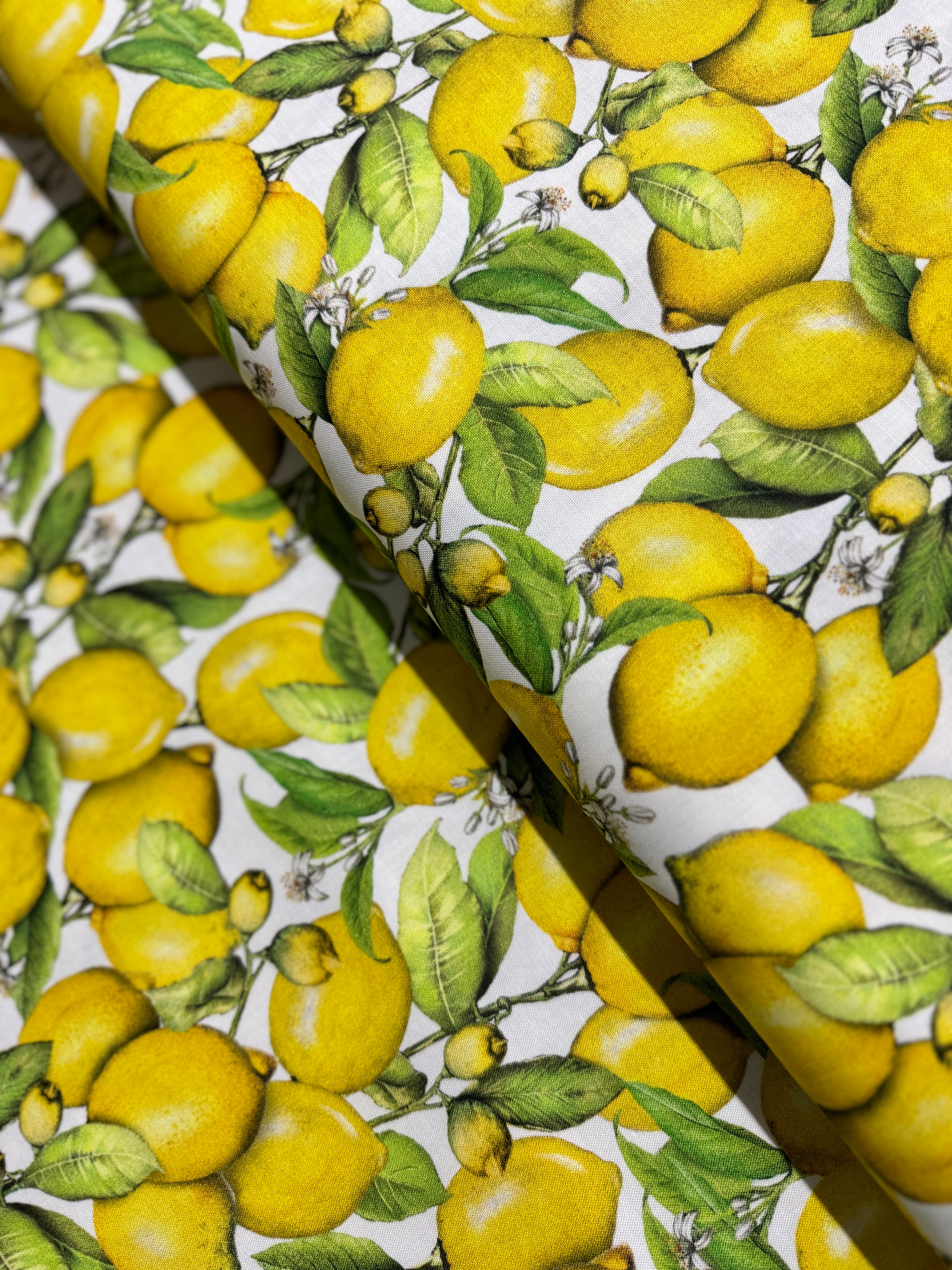 Down On The Farm - Lemons Yardage