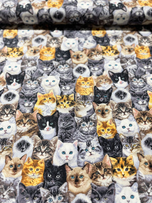 Quirky Cats - Packed Mixed Breeds Of Cats Yardage