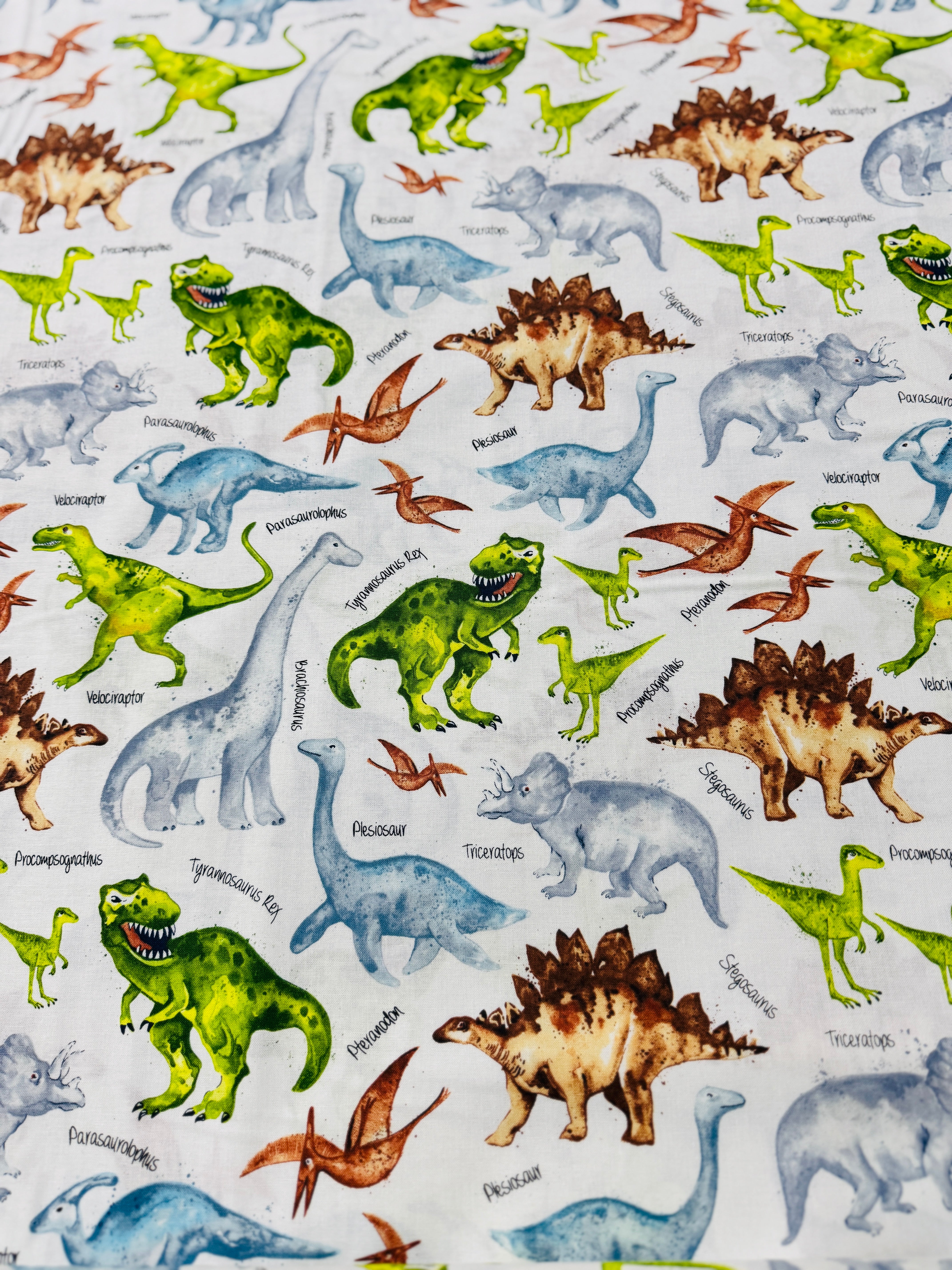 Dino Trek/Pre-Historic - Dinos and Names on White Yardage