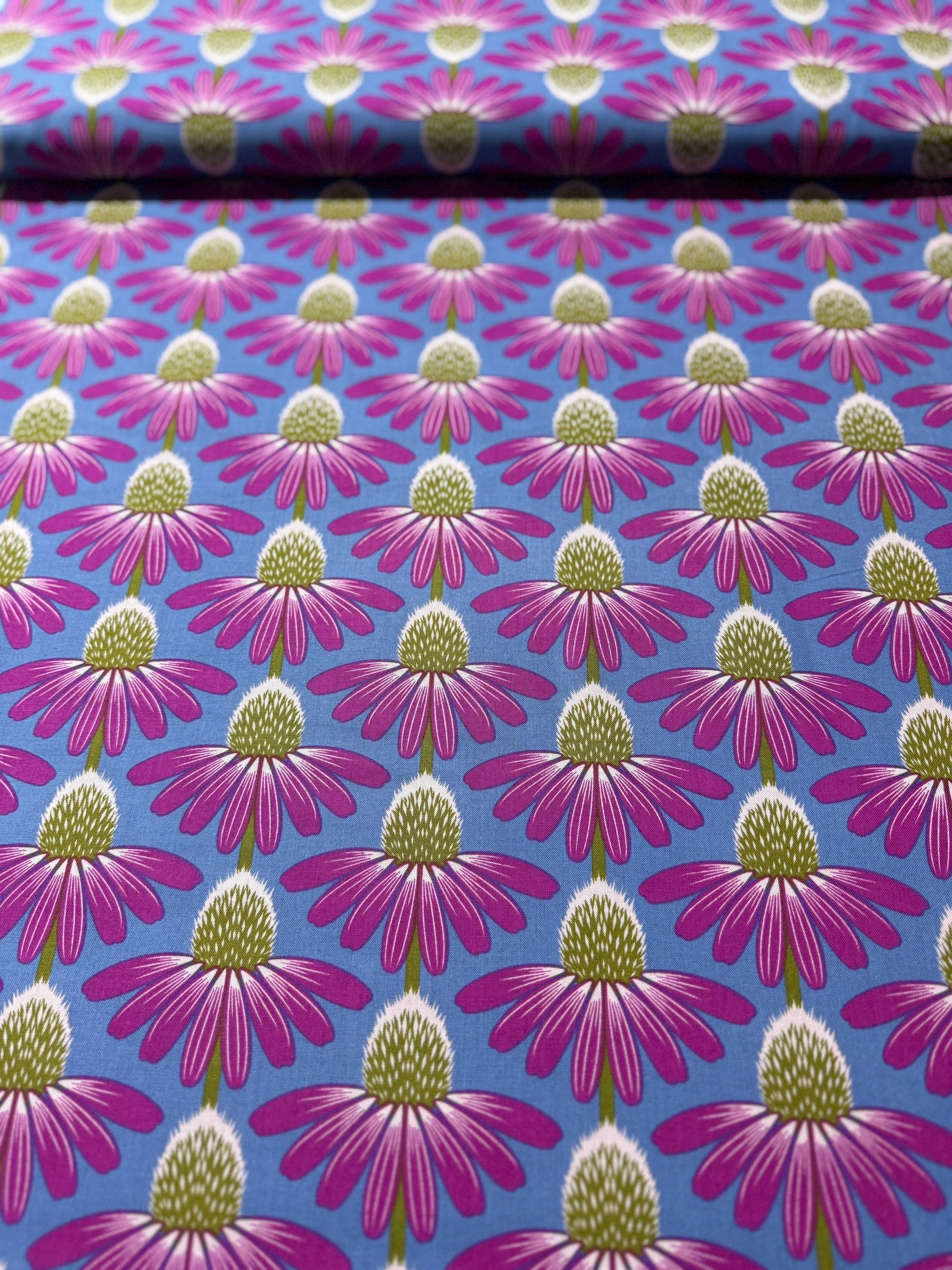 Love Always - Echinacea - Haute Yardage