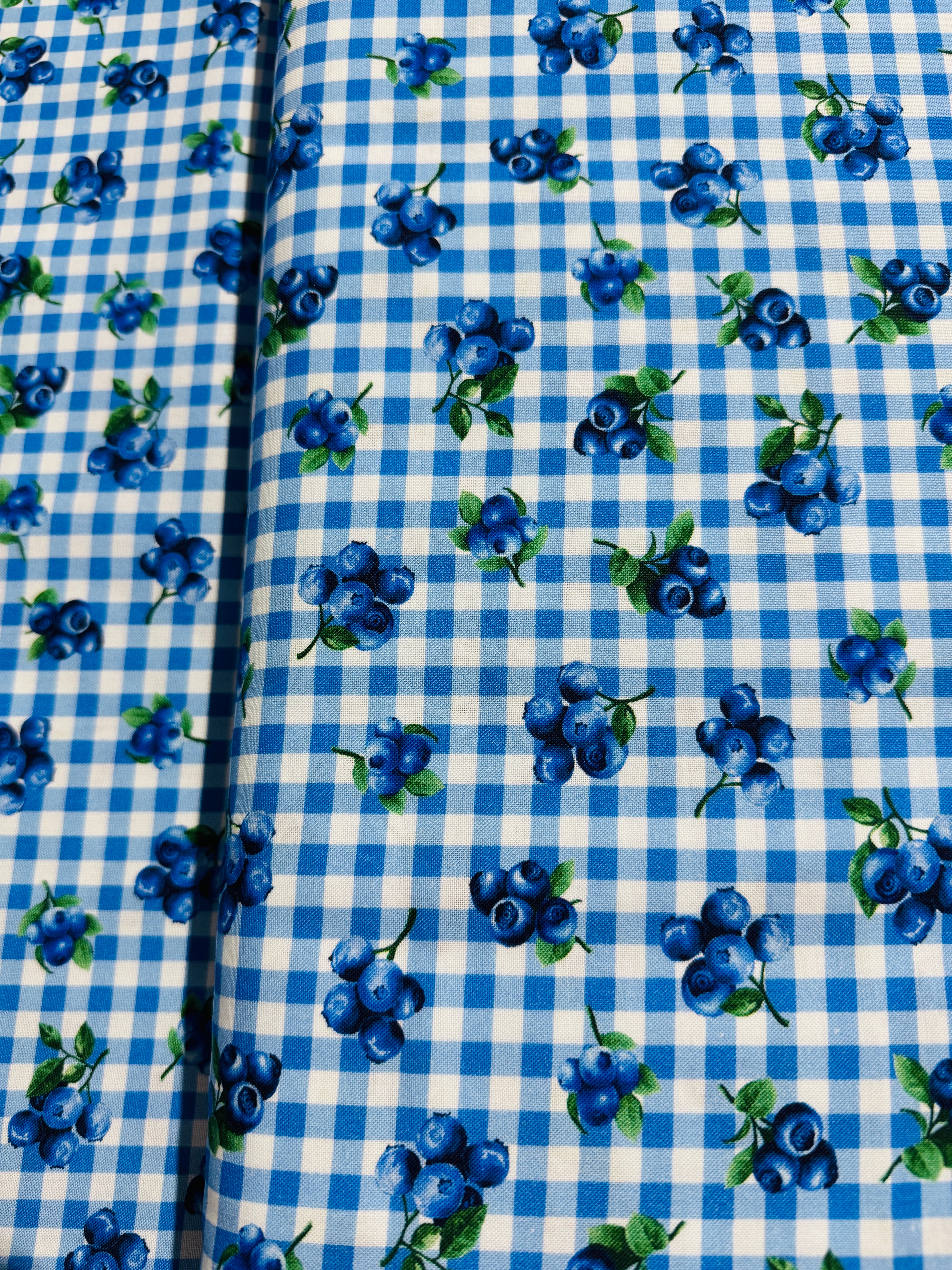 Summer Picnic - Blueberry Delight - Blueberries Gingham Yardage