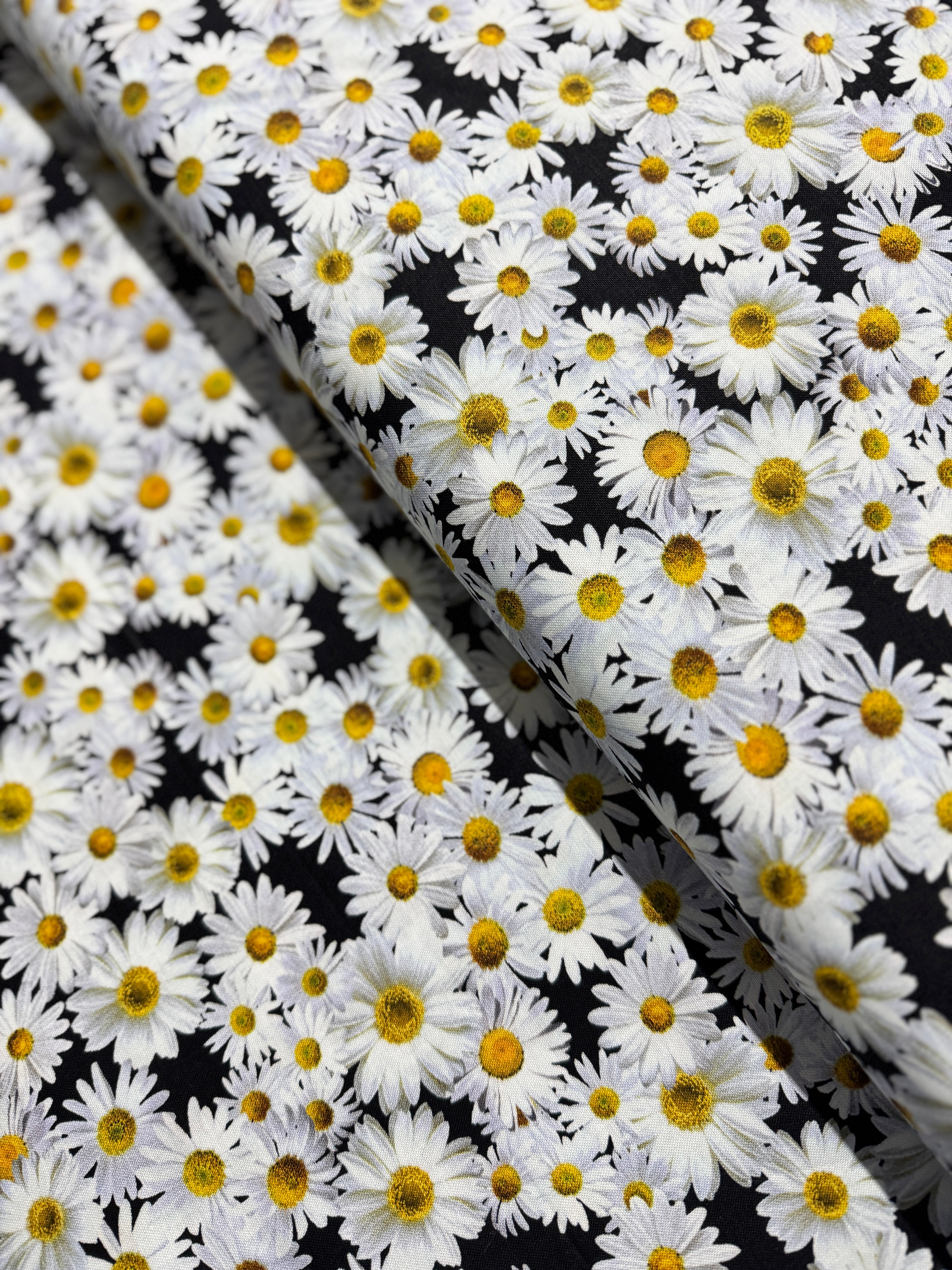 Advice From A Sunflower - Blooming Packed Daisies Yardage