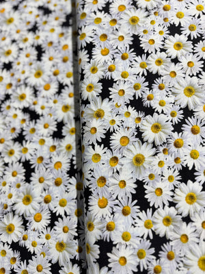 Advice From A Sunflower - Blooming Packed Daisies Yardage