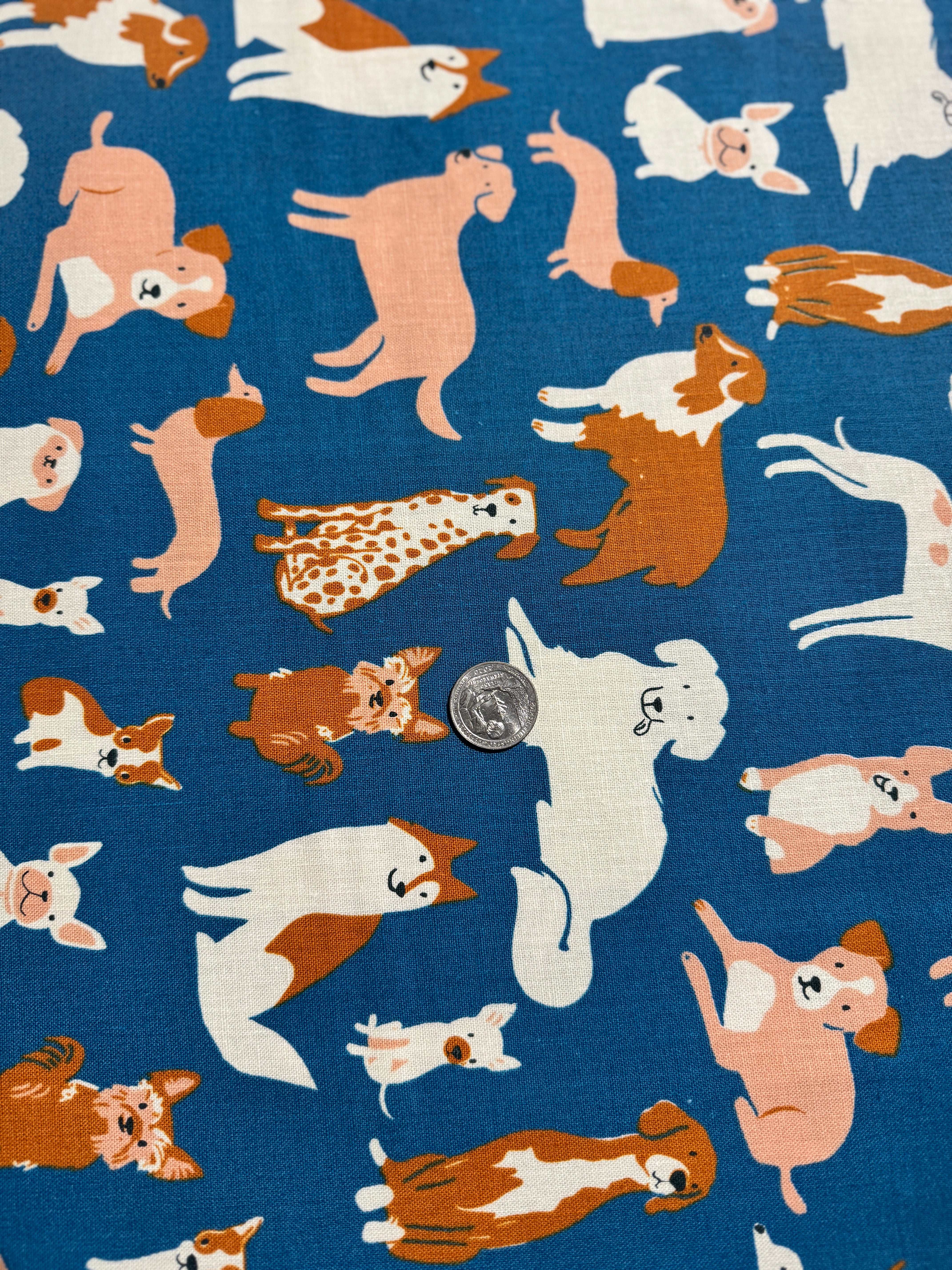 Dog Park - Dog Medley Chambray Canvas Yardage