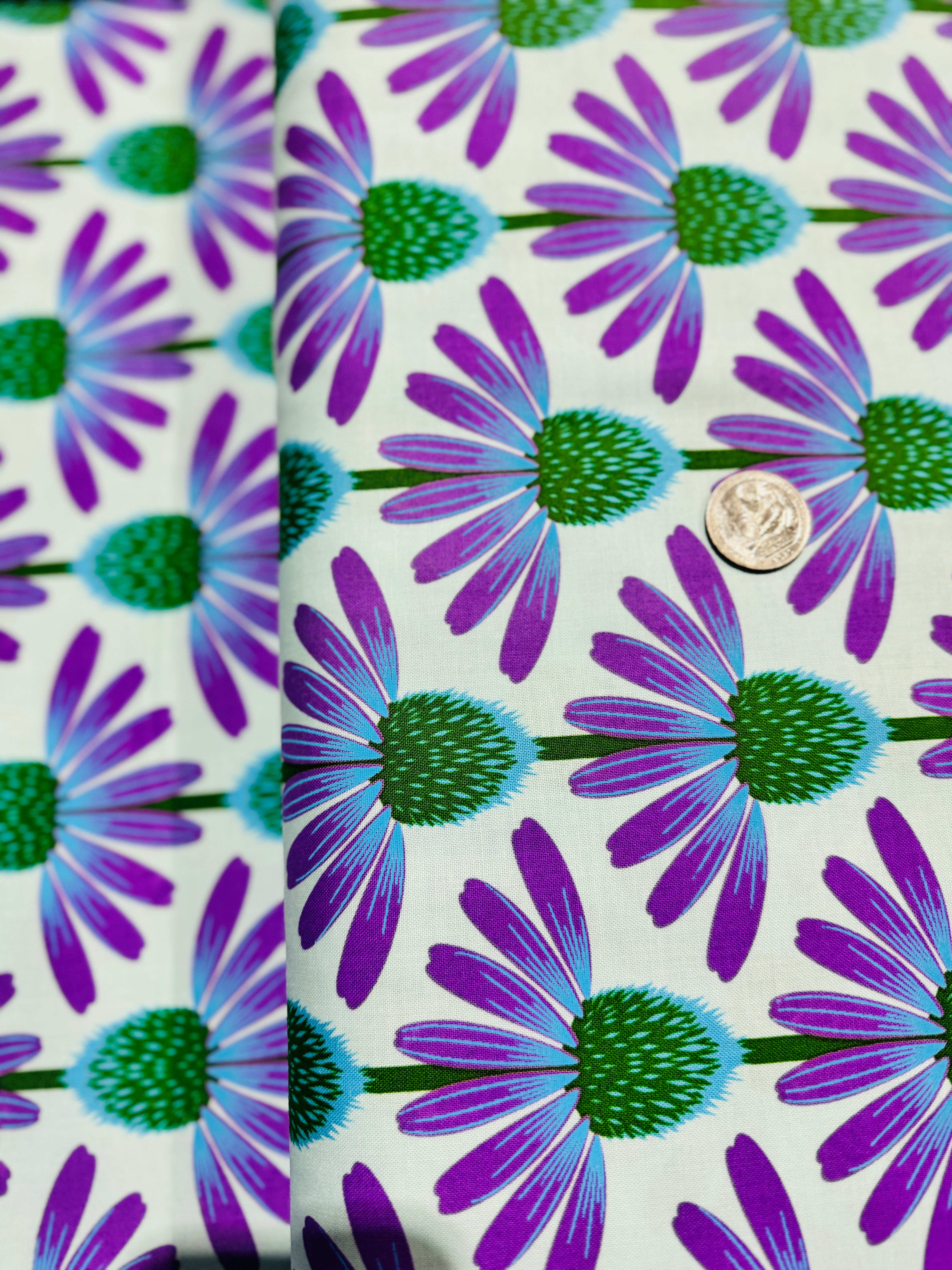 Love Always - Echinacea - Grape Yardage