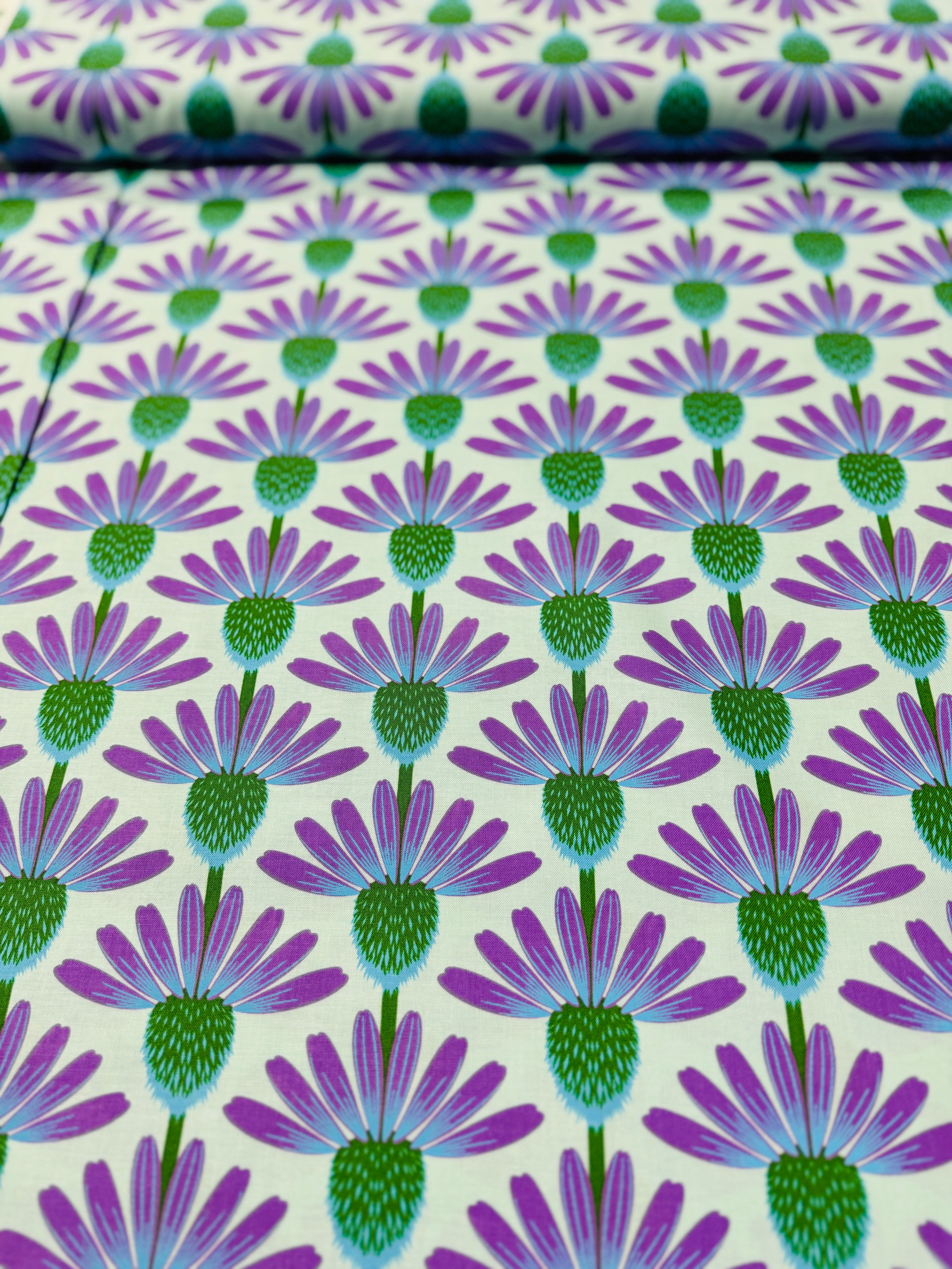 Love Always - Echinacea - Grape Yardage