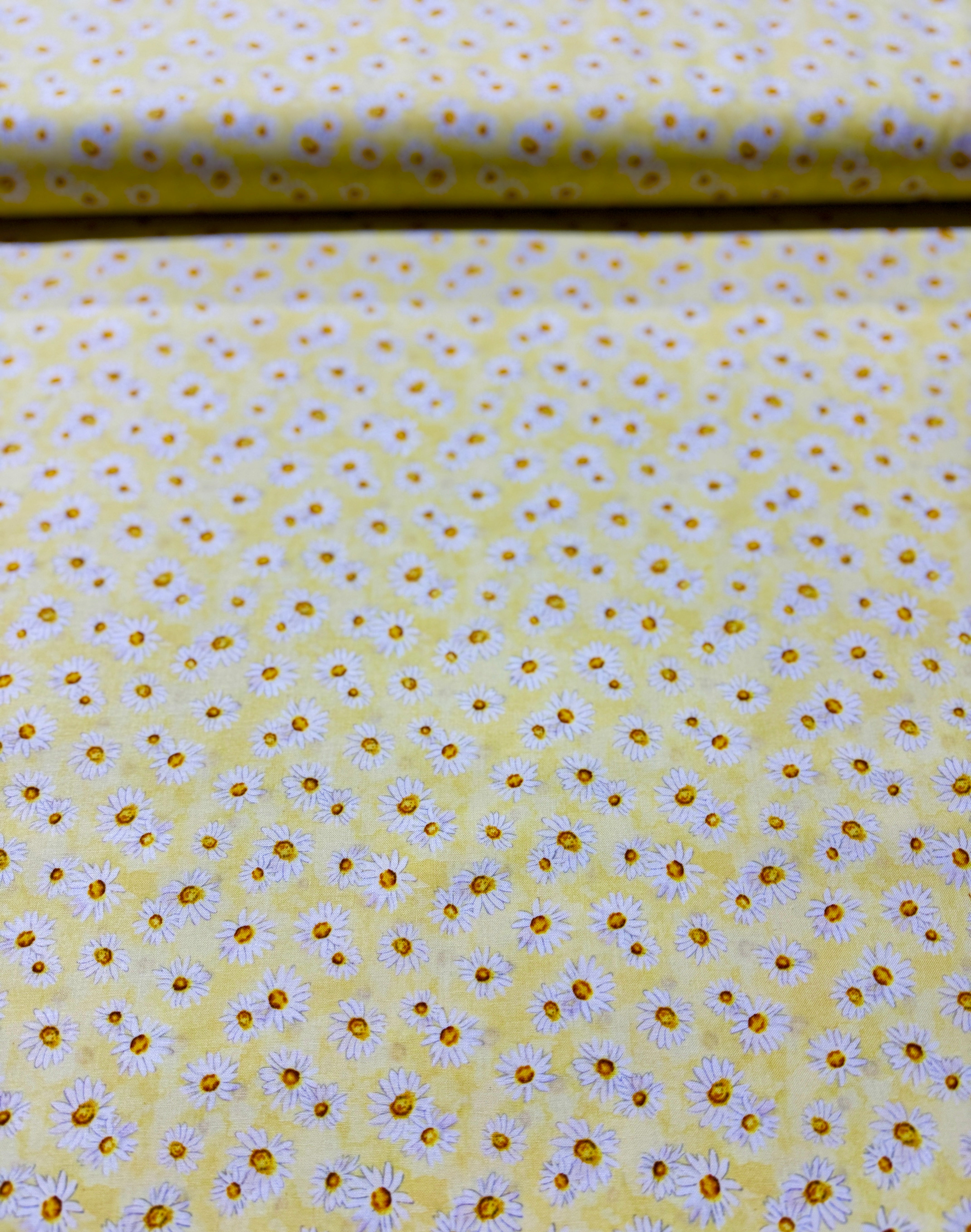 Zest for Life - Daisy Toss Yellow Yardage