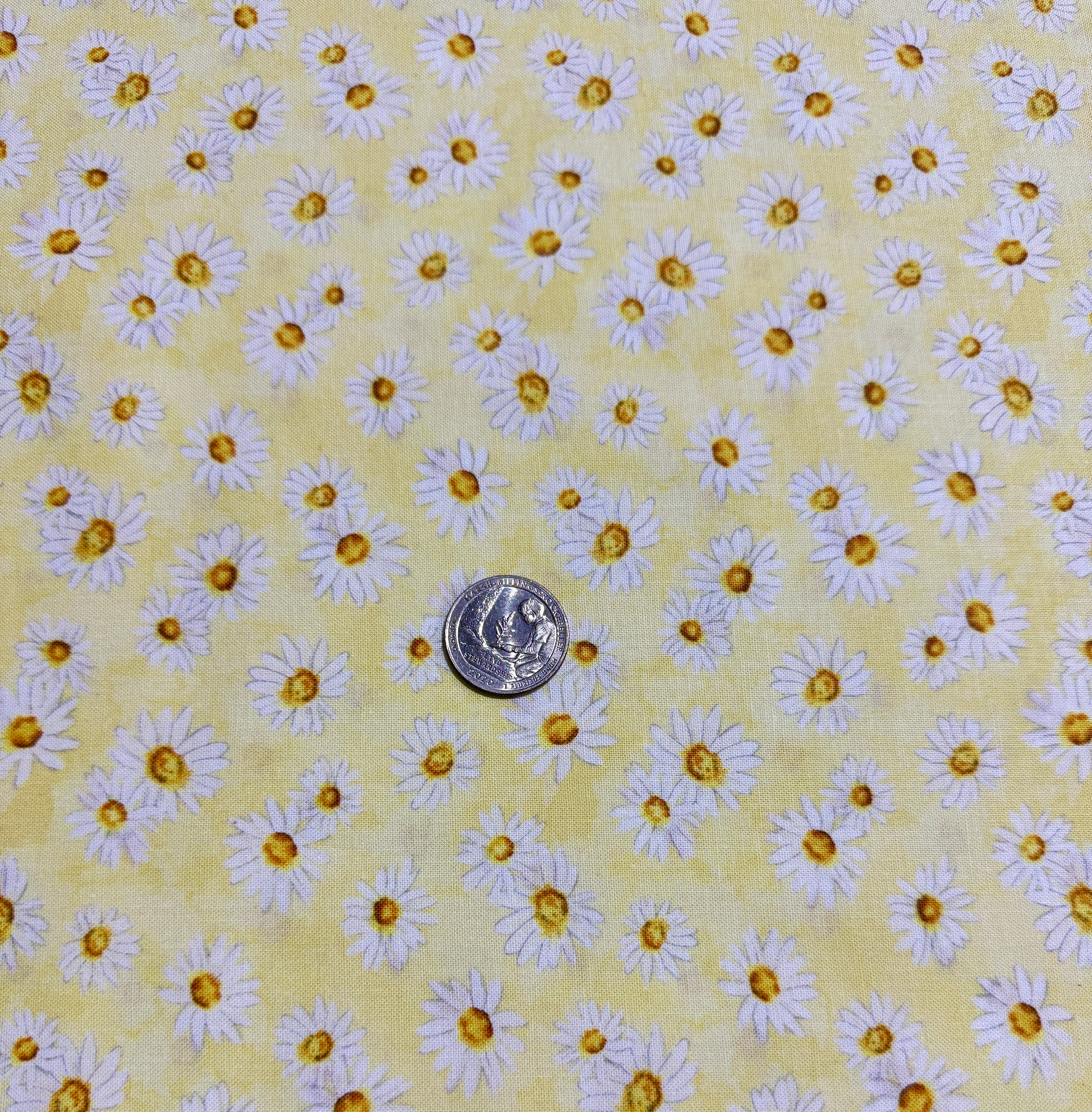 Zest for Life - Daisy Toss Yellow Yardage