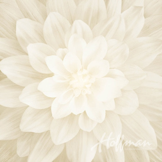 Dream Big - Flower Ivory Panel