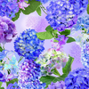 Hydrangea Bliss - Hydrangea Large Florals