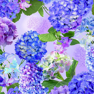 Hydrangea Bliss - Hydrangea Large Florals