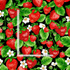 Strawberry Fields - Strawberries and Blooms on Vines