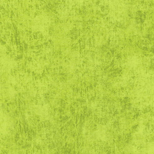 RJR - Denim - Lime Fabric by Jinny Beyer