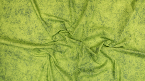 RJR - Denim - Lime Fabric by Jinny Beyer