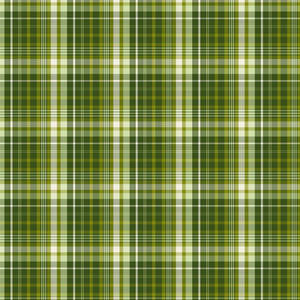 Cats and Quilts - Plaid Happy Green by Benartex