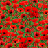 Wild Flower - Poppy Field by Timeless Treasures