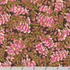 Aurelia - Foliage Burgundy Metallic Fabric