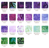 Artisan Batiks Lily Bella Ten Squares