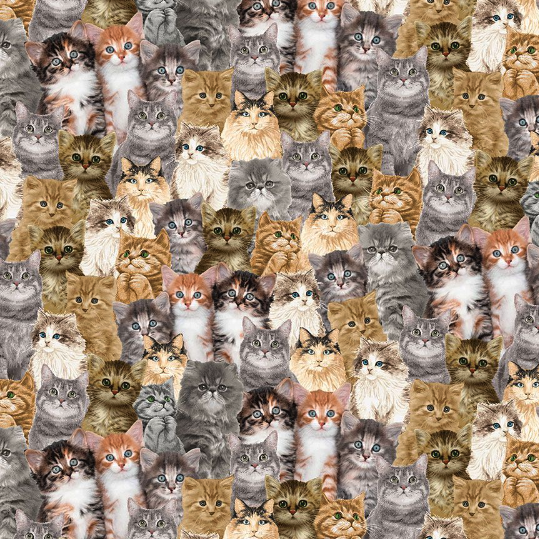 Packed Realistic Cats Fabric by Timeless Treasures