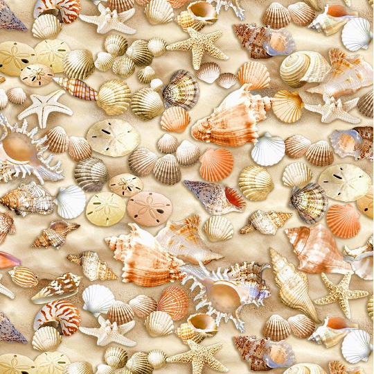 Beach Comber - Beachcomber Shells by Timeless