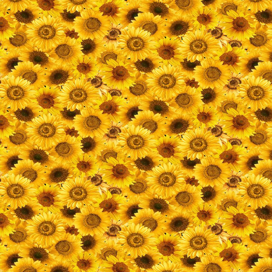 Spring Chicken - Packed Sunflowers Fabric