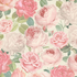 Jardin - Packed Jardin Roses by Timeless Treasures