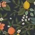 Bramble - Citrus Grove Navy Unbleached Canvas