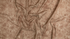 Impressions - Background - Chestnut Fabric