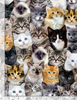 Quirky Cats - Packed Mixed Breeds Of Cats Fabric