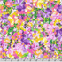 Painterly Petals Meadow - Bright Florals Garden