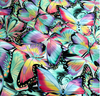 Nature Studies - Packed Pastel Butterflies Yardage