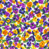 Flowerhouse - Brightly So - Packed Pansies Natural