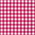 Kitchen Window Wovens - Gingham Pomegranate