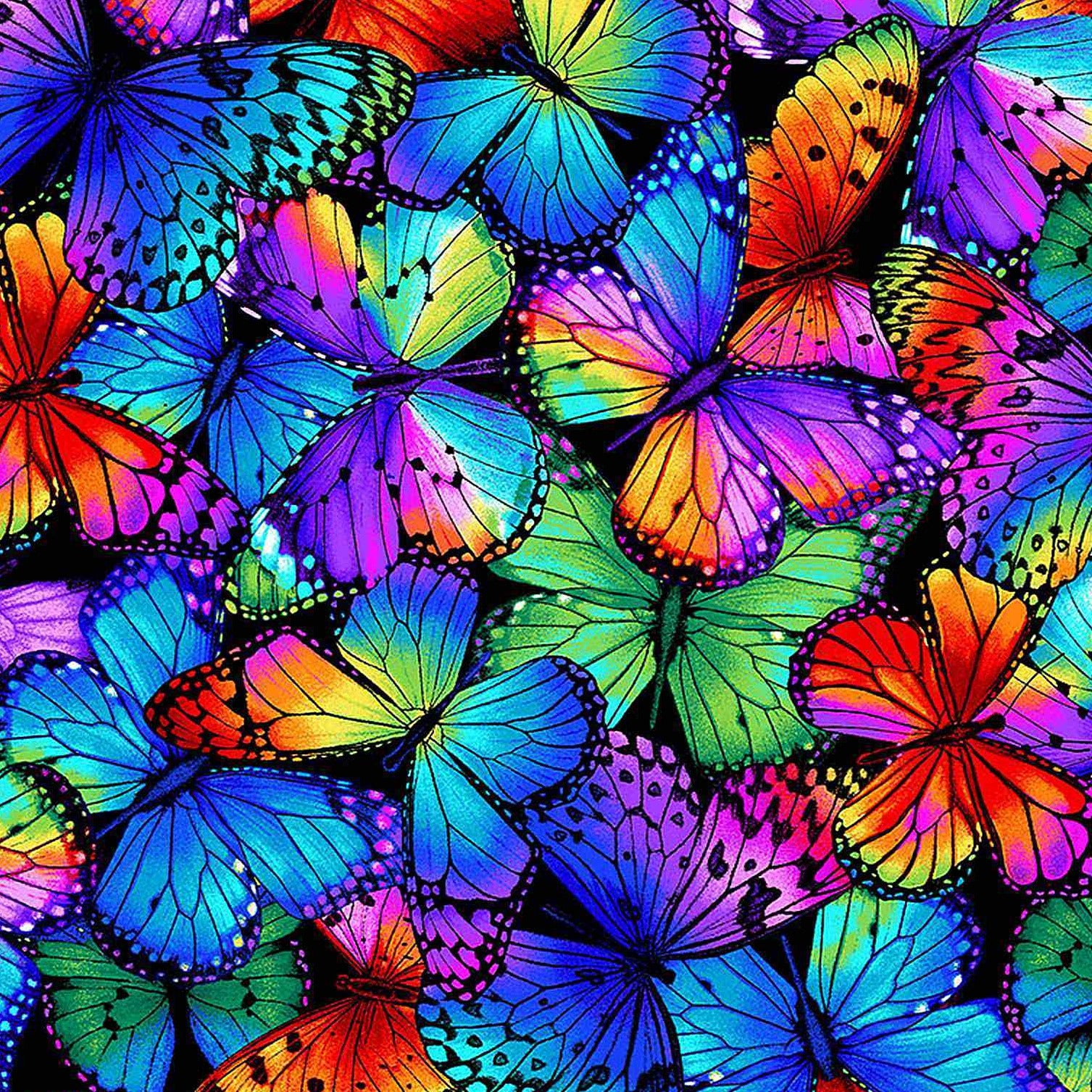 Butterfly Magic Packed Multi Bright Butterflies