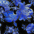 Sapphire Tapestry Metallic Florals - Timeless