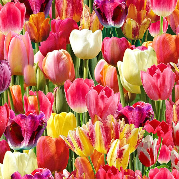 Timeless Treasures Flower Farm Packed Tulips 