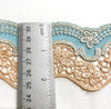 Embroidered Net Lace Trim with scallops - Ribbon Trim - Netting Lace