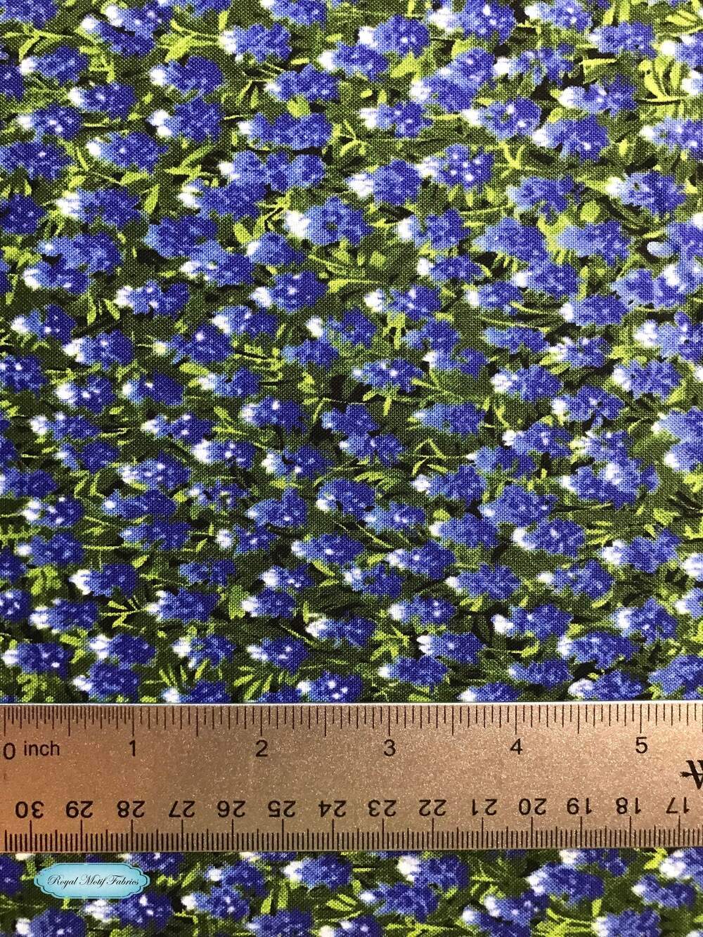 Wildflowers - Best Of Texas - Summer Bluebonnets