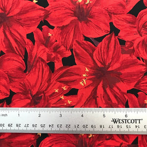 Holidays Remembered - Poinsettias Red